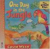 One_day_in_the_jungle