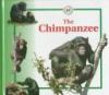 The_chimpanzee