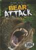 Bear_attack