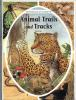 Animal_trails_and_tracks