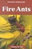 Fire_ants