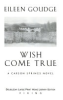 Wish_come_true