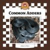 Common_adders