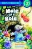 Mole_in_a_hole