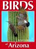 Birds_of_Arizona