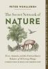 The_secret_network_of_nature