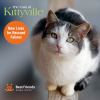 The_cats_of_Kittyville