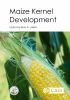 Maize_kernel_development