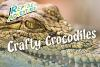 Crafty_crocodiles