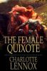 The_female_quixote
