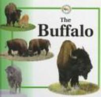 The_buffalo