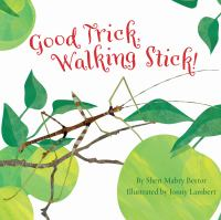 Good_trick__walking_stick_