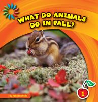 What_do_animals_do_in_fall_