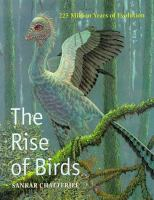The_rise_of_birds